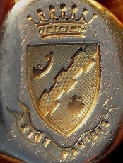 Blason héraldique de la famille Du Brusle2